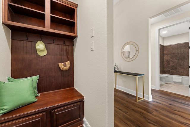 mudroom featuring dark hardwood / wood-style floors