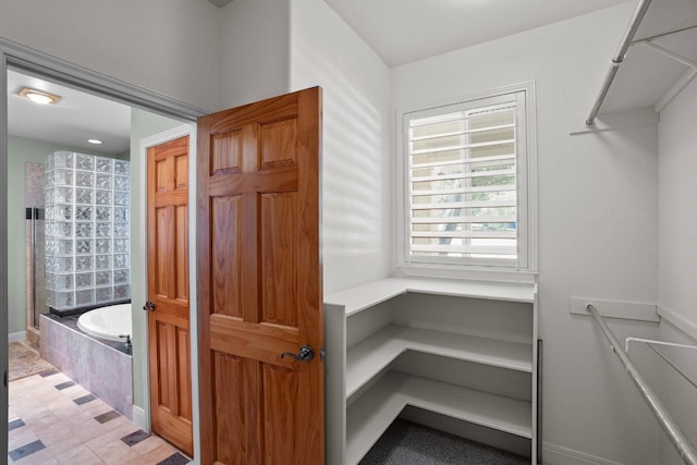 view of spacious closet