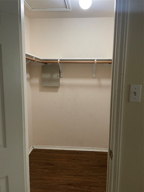 walk in closet featuring hardwood / wood-style floors