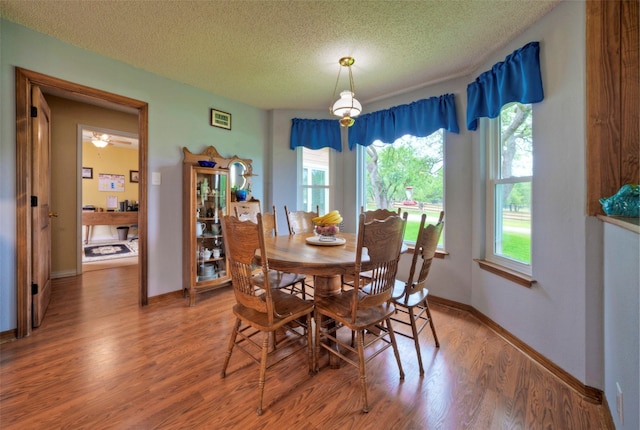 dining space with hardwood / wood-style flooring, plenty of natural light, and a textured ceiling