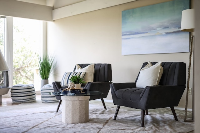 sitting room featuring a healthy amount of sunlight