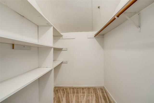 walk in closet featuring light colored carpet