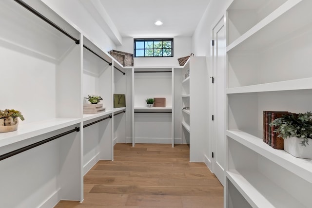 walk in closet with light hardwood / wood-style flooring