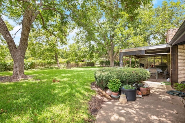 view of yard featuring a patio