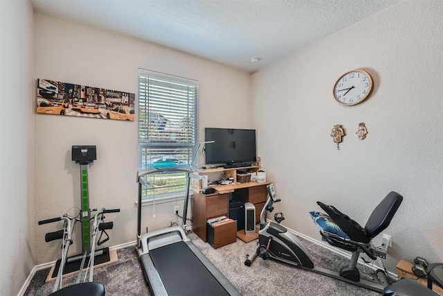 workout area featuring carpet flooring