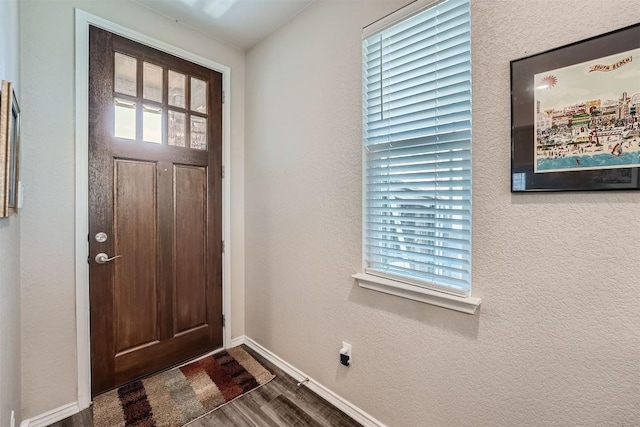 entrance foyer with dark wood-type flooring