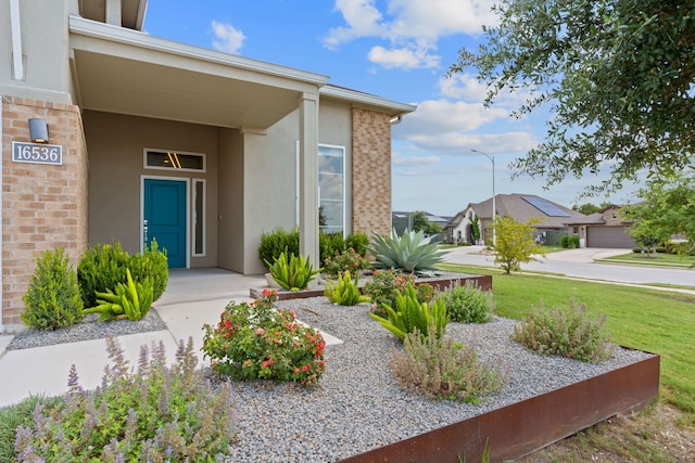 property entrance featuring a yard