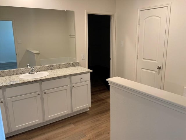 bathroom featuring wood-type flooring and vanity