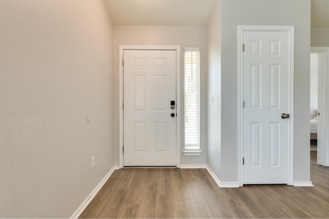 foyer entrance with wood-type flooring