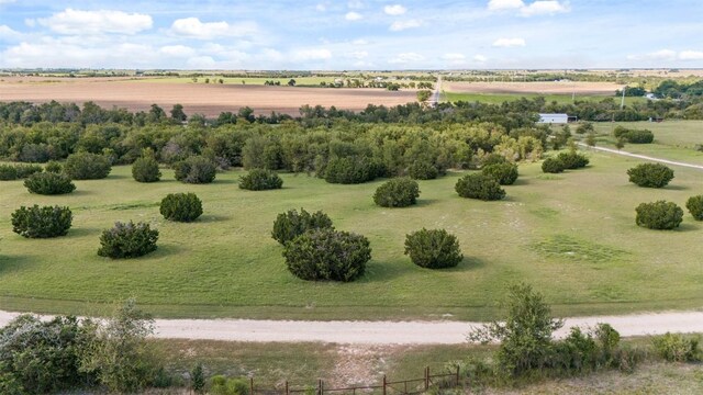7351 Hackberry Rd, Holland, TX 76534 - photo 38