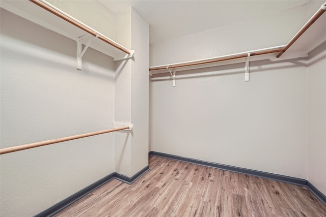 spacious closet with light hardwood / wood-style flooring