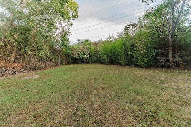 188 W Kaanapali Ln, Bastrop, TX 78602 - view of grassy yard
