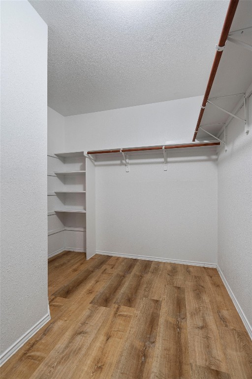 spacious closet with light hardwood / wood-style floors