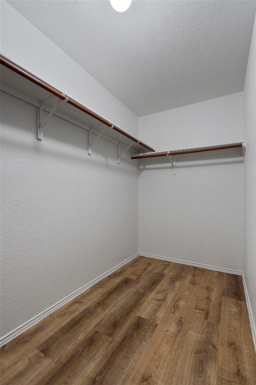 walk in closet featuring wood-type flooring