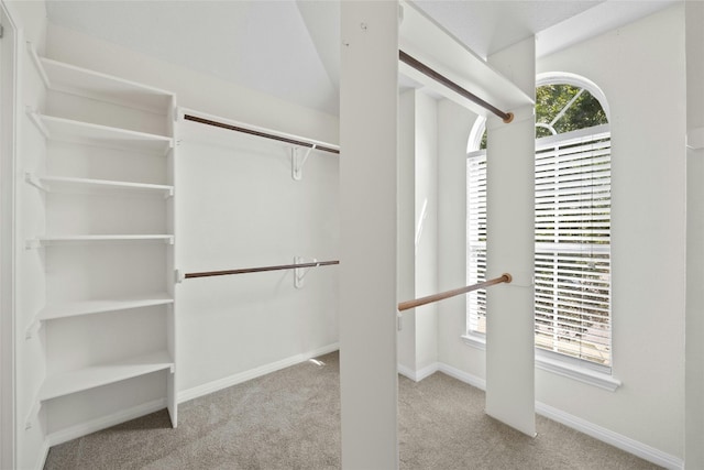 spacious closet with light carpet