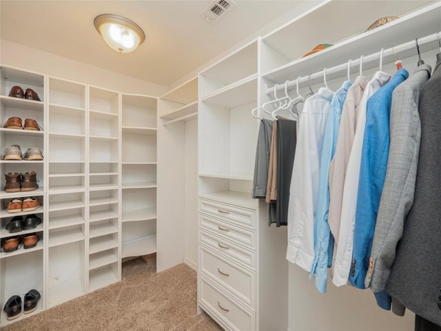 spacious closet with light carpet