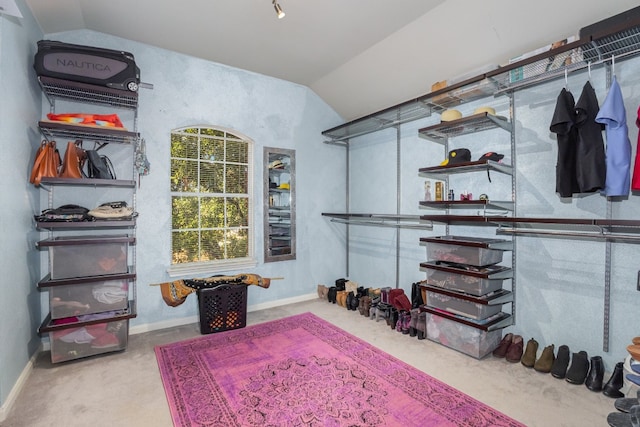 spacious closet with lofted ceiling