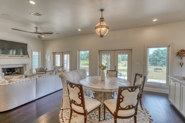 dining space with a wealth of natural light, french doors, and dark hardwood / wood-style flooring