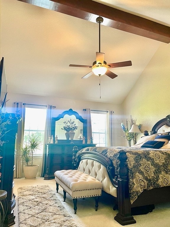 carpeted bedroom with lofted ceiling with beams, ceiling fan, and multiple windows