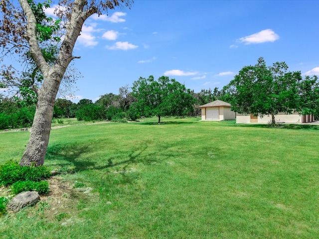 view of yard featuring a garage