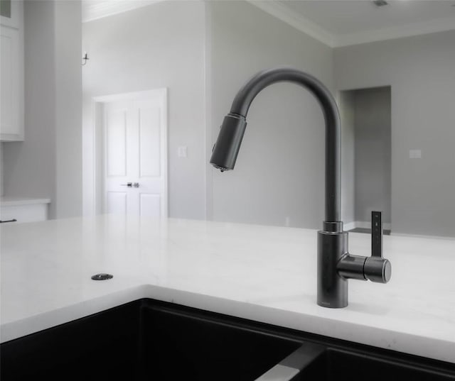 details featuring ornamental molding, light countertops, a sink, and white cabinetry