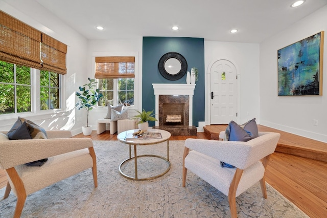 living room featuring a fireplace and hardwood / wood-style floors