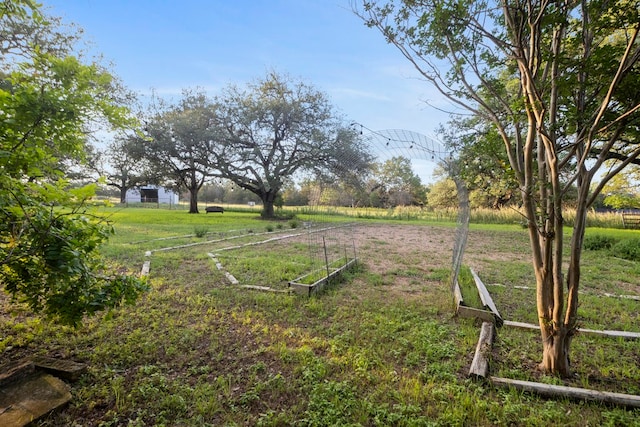 view of yard with a rural view