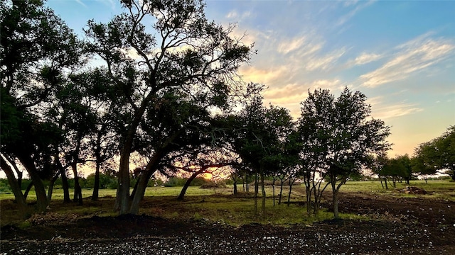 Listing photo 3 for 101/LOT1 Private Road 1295, Lampasas TX 76550