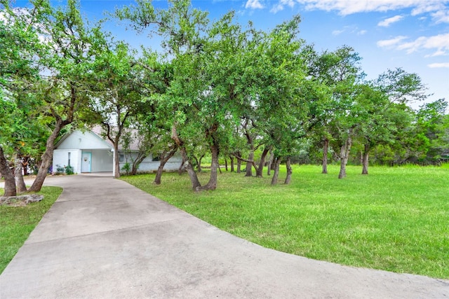 view of property hidden behind natural elements featuring a front yard