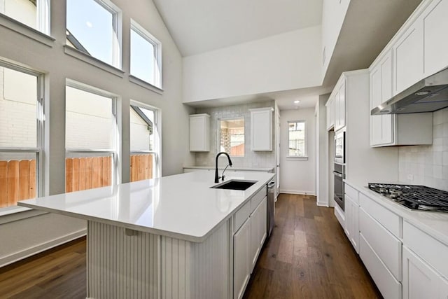 kitchen with sink, a kitchen island with sink, stainless steel appliances, dark hardwood / wood-style floors, and white cabinets