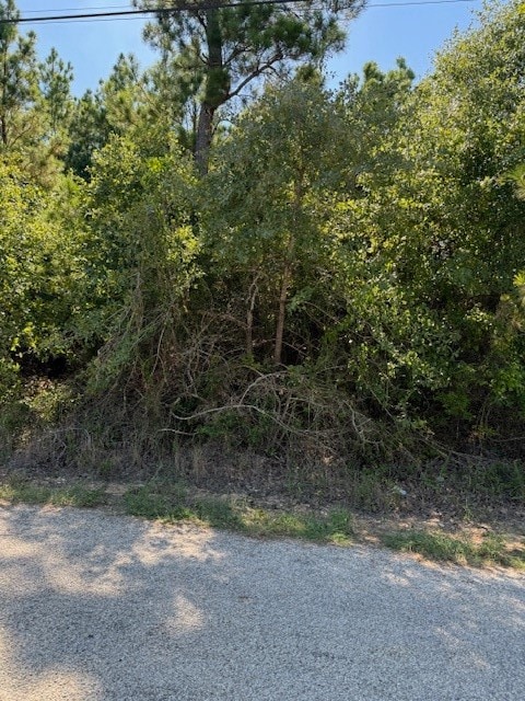 LOT1355 N Kaupo Dr, Bastrop, TX 78602