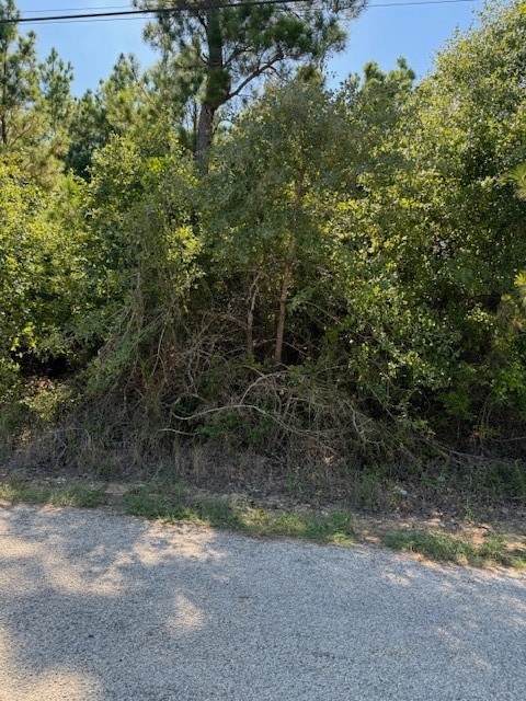 LOT1355 N Kaupo Dr, Bastrop TX, 78602 land for sale