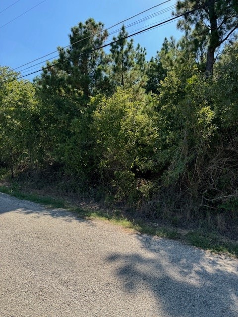 Listing photo 2 for LOT1355 N Kaupo Dr, Bastrop TX 78602