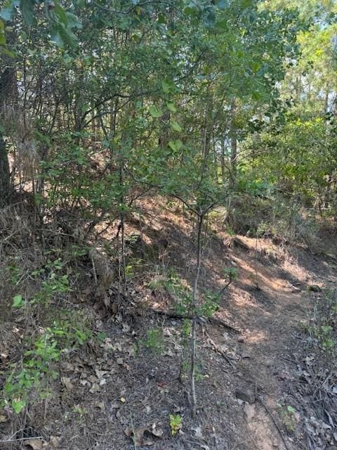 LOT1355 N Kaupo Dr, Bastrop, TX 78602 - photo 5