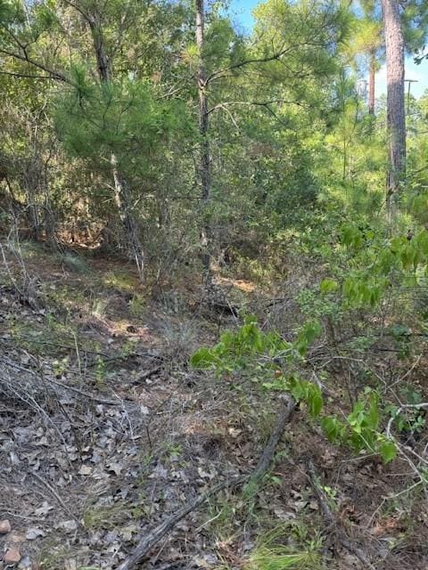LOT1355 N Kaupo Dr, Bastrop, TX 78602 - photo 6