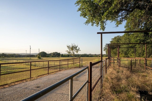 view of yard featuring a rural view