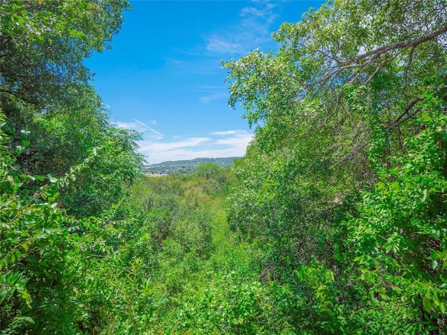 10904 Travis Dr, Jonestown, TX 78645 - photo 25