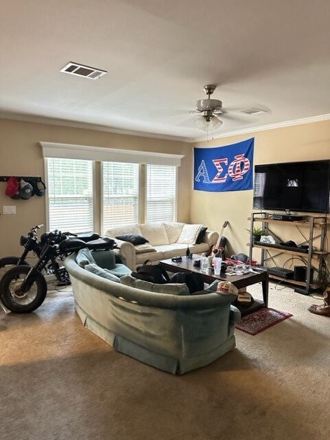 carpeted living area featuring a ceiling fan, visible vents, and crown molding