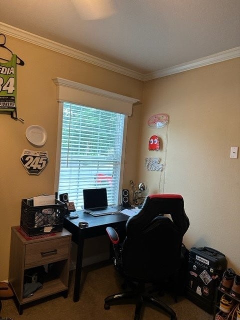 office space with carpet floors and ornamental molding