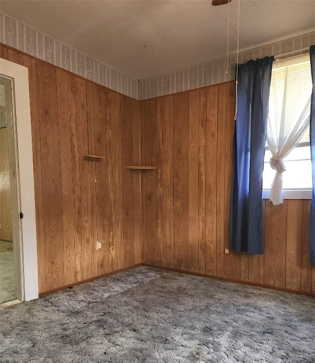 empty room featuring wood walls and carpet flooring