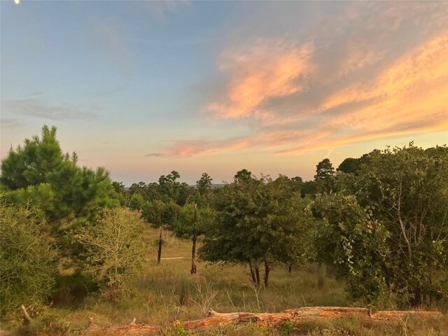 TBD Spring Hollow Trail, Smithville TX, 78957 land for sale