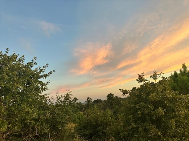 Listing photo 3 for TBD Spring Hollow Trail, Smithville TX 78957