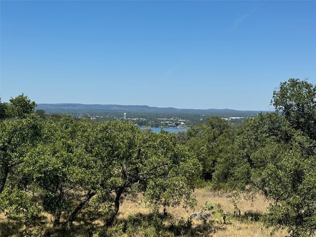 Listing photo 2 for LOT35 Eagle Feather Dr, Kingsland TX 78639