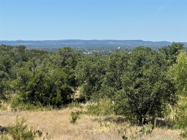 Listing photo 3 for LOT35 Eagle Feather Dr, Kingsland TX 78639