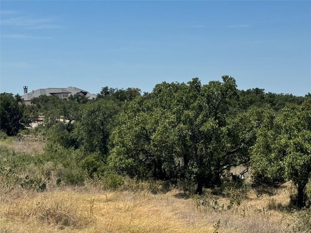 LOT35 Eagle Feather Dr, Kingsland, TX 78639 - photo 4