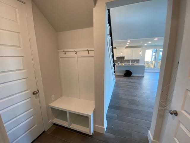 mudroom featuring dark wood-type flooring