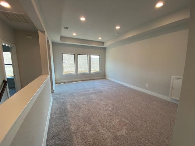 unfurnished room featuring a raised ceiling and carpet flooring