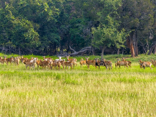 view of nature