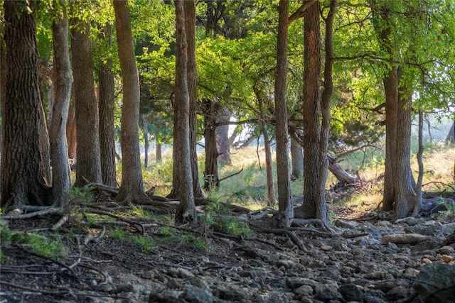 view of nature