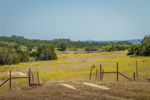 view of yard with a rural view